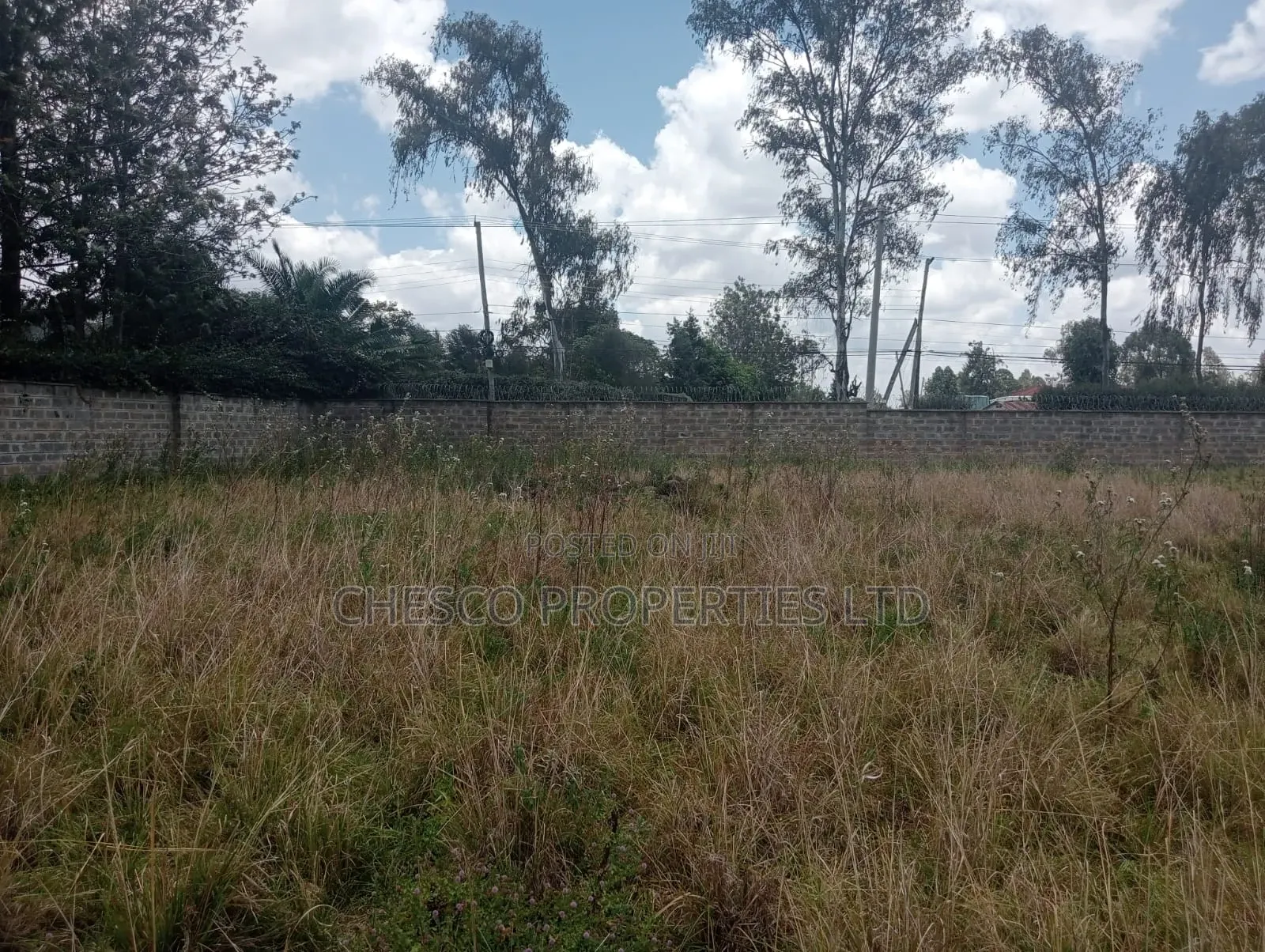 10 Acres for Sell in Karen, Nairobi Bogani Rd in Karen Land & Plots