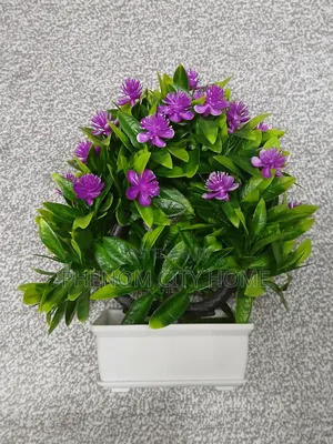 Decor Flowers Decor Flowers