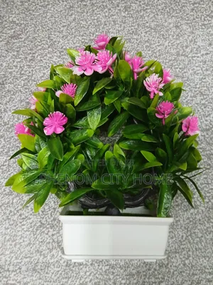 Decor Flowers Decor Flowers