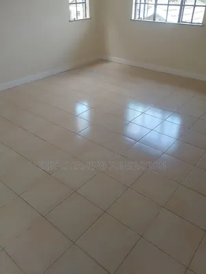 Deep House Cleaning Services/Fumigation Services