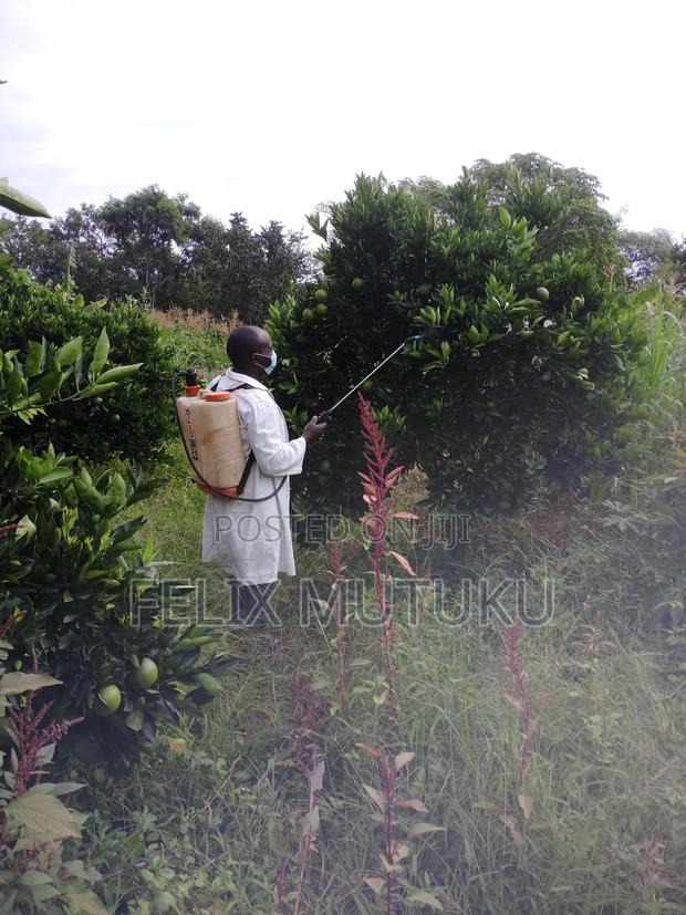 2 Acr Land for Sale. - thumbnail 3