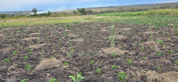 Ngobit, 4 Acre With a Borehole - thumbnail 3