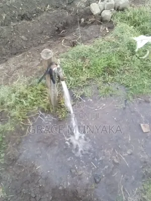 Ngobit, 4 Acre With a Borehole