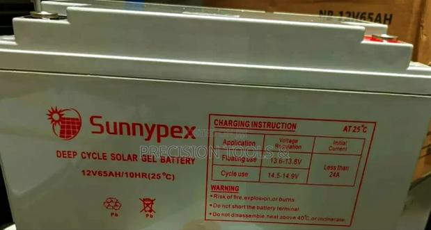 Sunnypex 65ah 12V Deep Cycle Battery