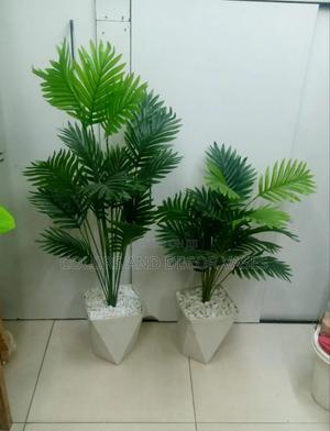 1.2m and 80cm Long Plants Available - thumbnail 2