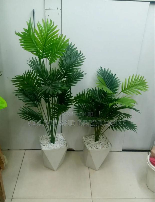 1.2m and 80cm Long Plants Available - main view