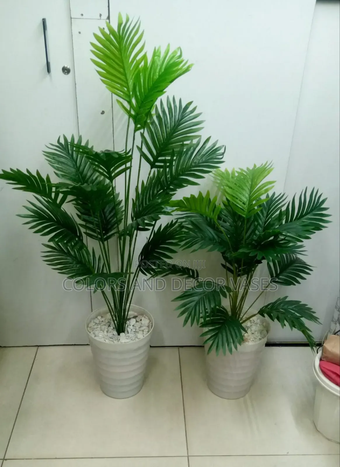 Palm With Spiral Plastic Vases and Pebble Stones