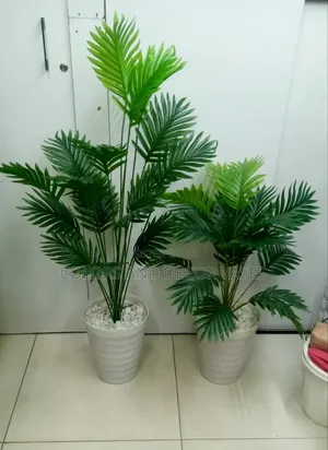 Palm With Spiral Plastic Vases and Pebble Stones