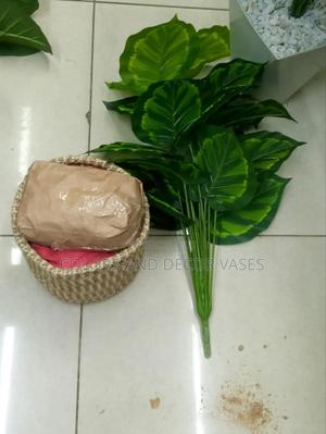 Basket With Plant and Decorative Stones - thumbnail 2