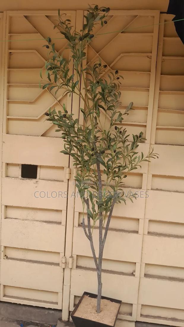 2m Long Olive Available - thumbnail 3