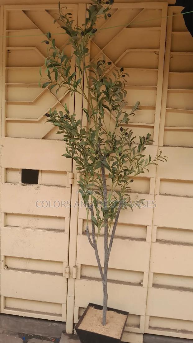 2m Long Olive Available - thumbnail 4