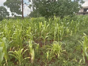 Quarter an Acre on Sale at Thika Greens Estate
