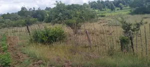 50 by 100 Prime Plot for Sale at Leshau