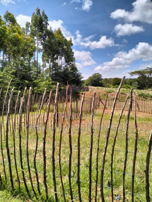 50 by 100 Prime Plot for Sale at Leshau - thumbnail 3