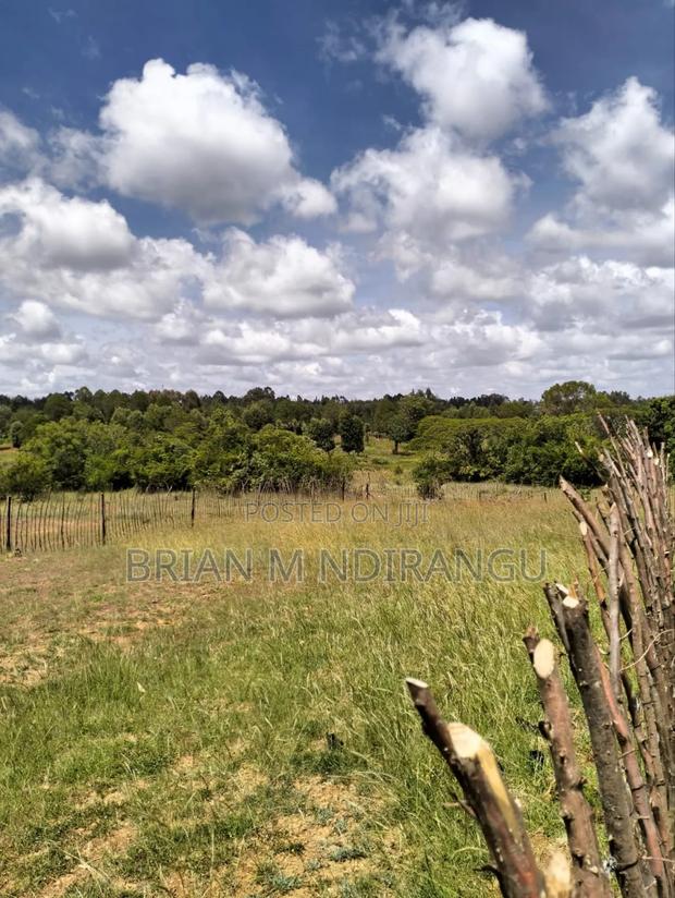 50 by 100 Prime Plot for Sale at Leshau - thumbnail 4