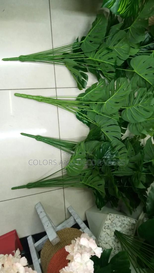 1m Long Monstera Plants for Restaurants - thumbnail 3