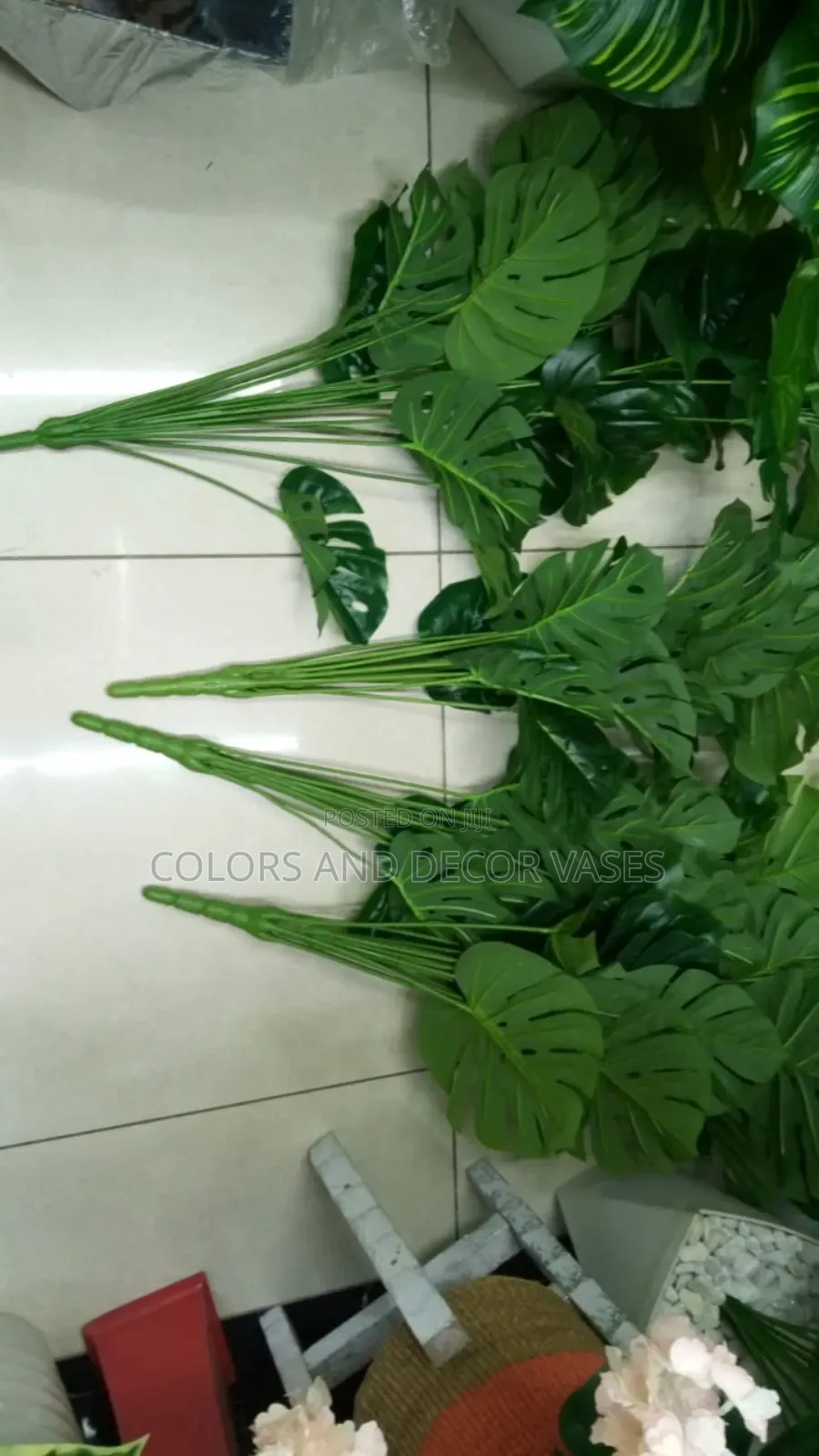 1m Long Monstera Plants for Restaurants