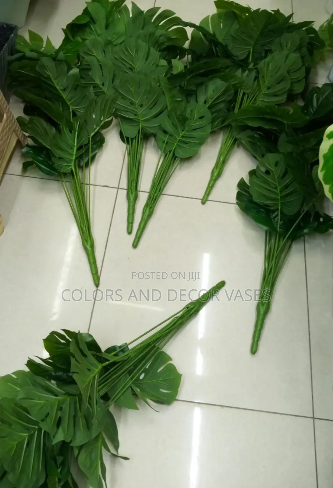Long Plants Affordable for Restaurants Decor