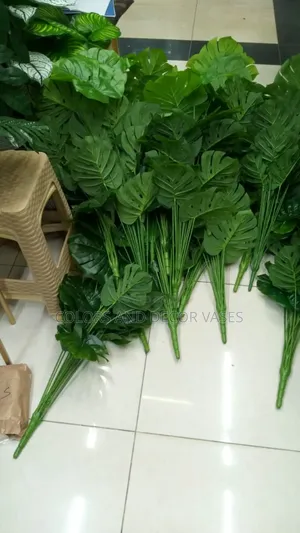 Plenty Long Plants Good Quality and Good Price for Bulk