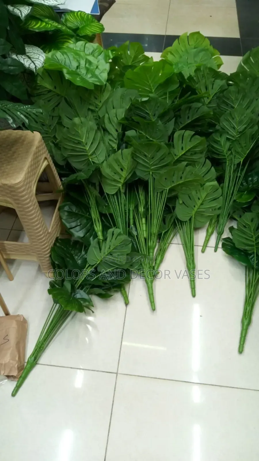 Plenty Long Plants Good Quality and Good Price for Bulk