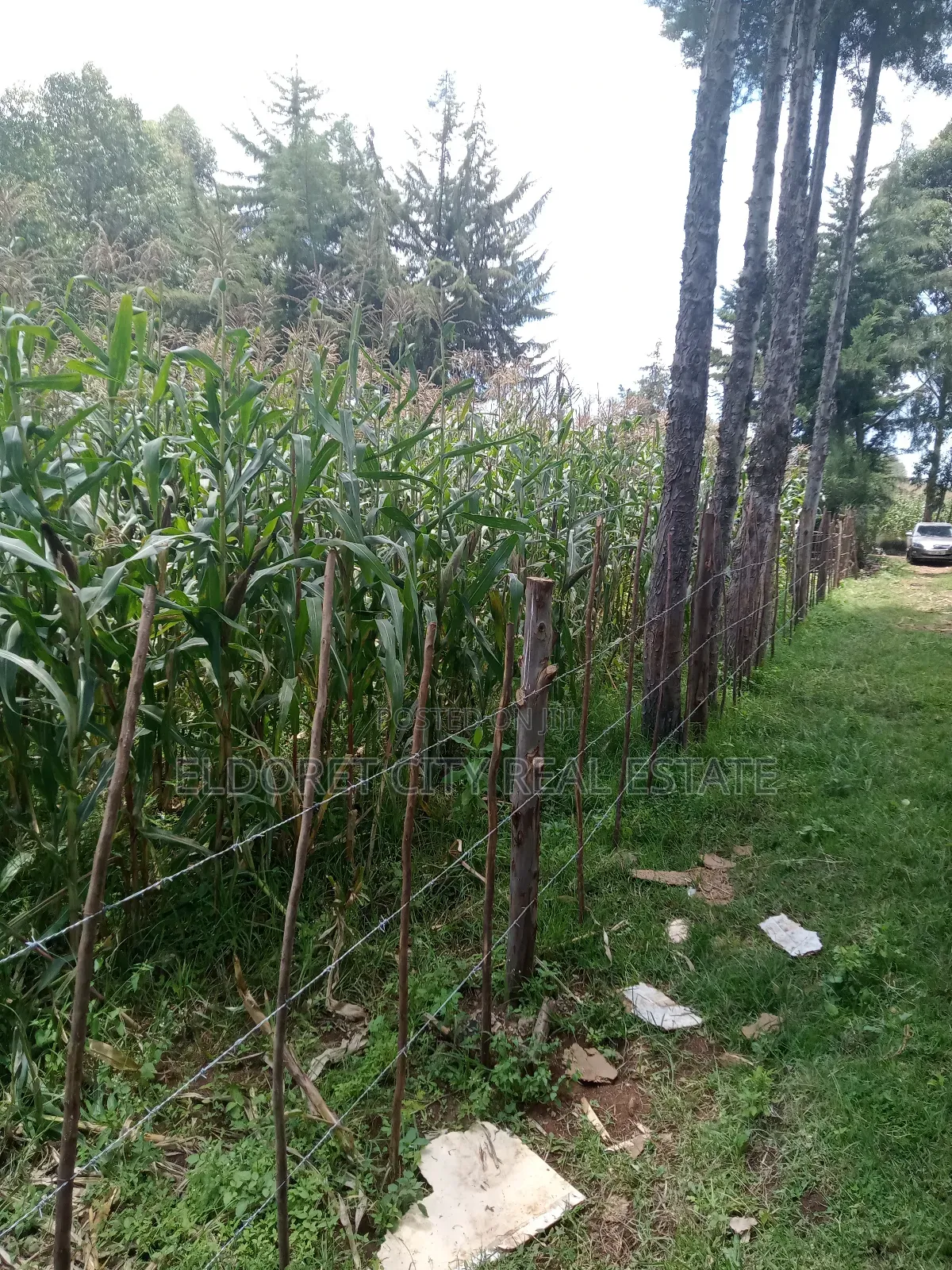 1/4 Plot Before Ilula Center With Title