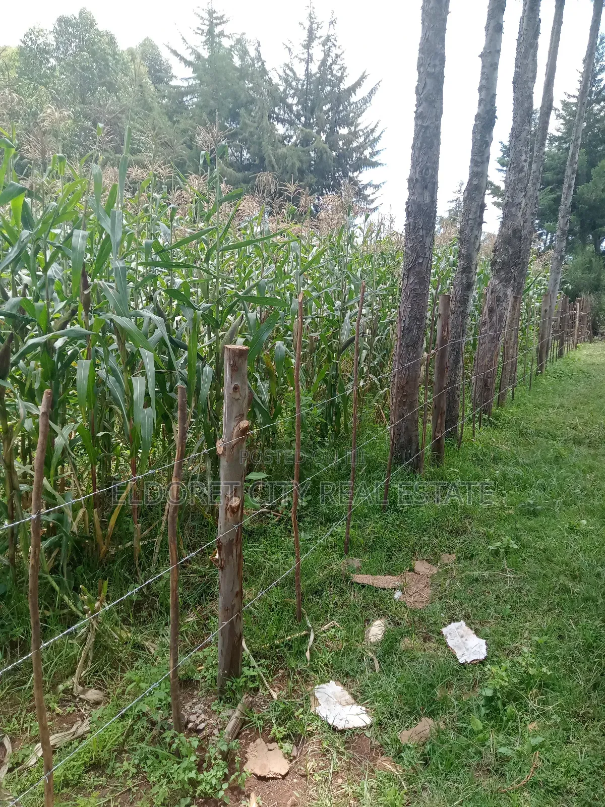 1/4 Plot Before Ilula Center With Title