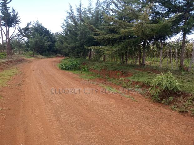 21 Acres on Sale Talnget After Ilula. - thumbnail 3