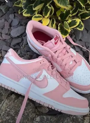 Nike Sb Dunk 'Pink Velvet '