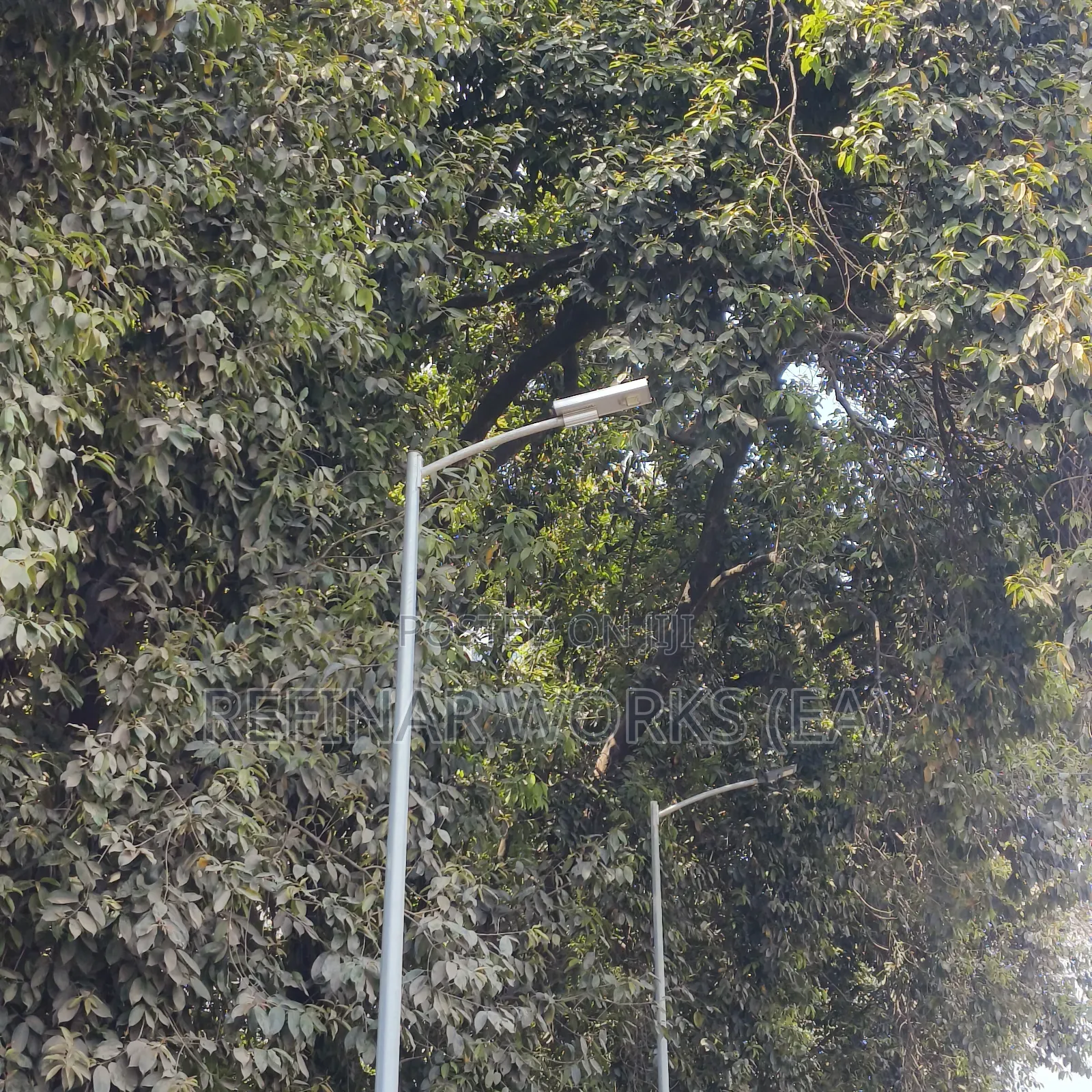 Galvanized /Painted Street Light Poles Manufacturers