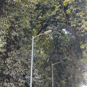 Galvanized /Painted Street Light Poles Manufacturers