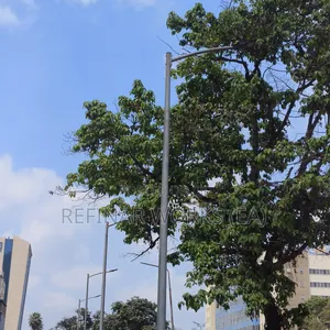 Road Side Poles High Quality Galvanized and Painted