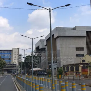 Road Side Poles High Quality Galvanized and Painted