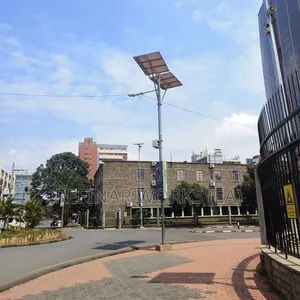 Single and Double Arm Street Light Poles