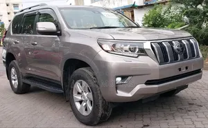 Toyota Land Cruiser Prado 2.8 2019 Gray