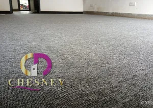 Light Gray Office Carpet