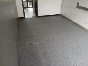 Light Gray Home Carpet