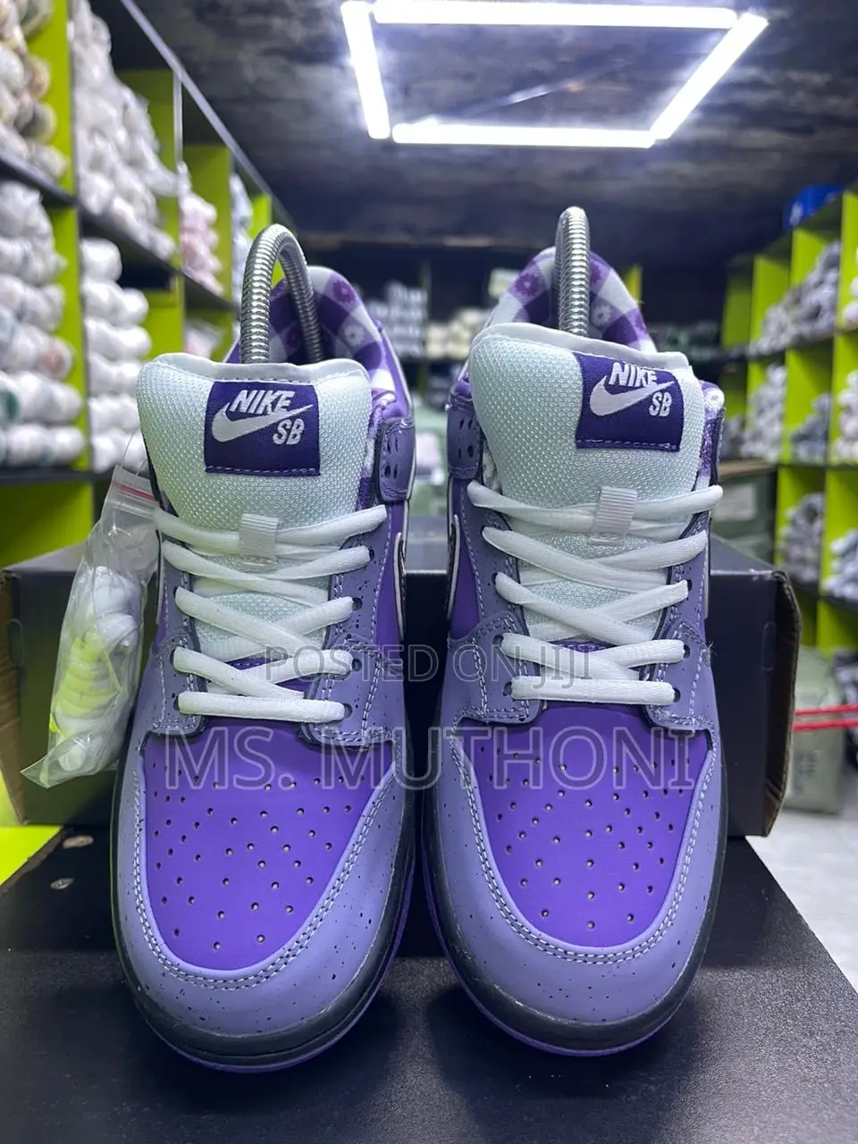 Nile Sb Dunk Low Lobster Purple