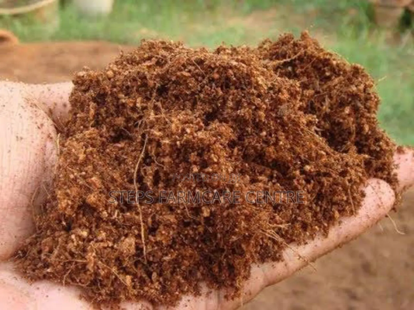 Coco Peat for Quality Seedlings