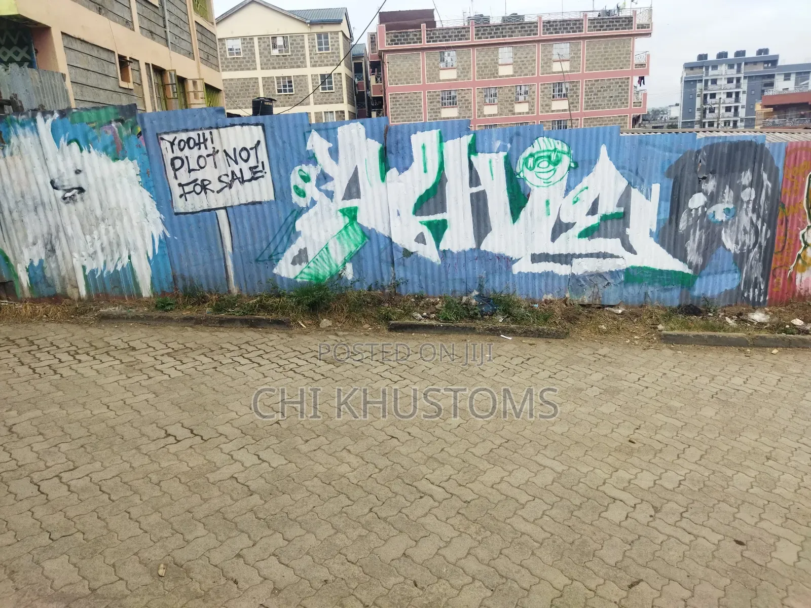 Graffiti and Large Scale Murals