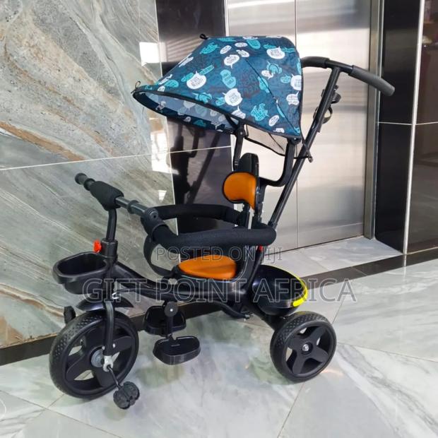 Push Handle Tricycle for Kids With a Canopy - main view