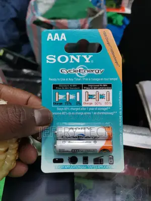 2 PCS SONY-AAA Rechargeable Battery Remote Battery Small Pen