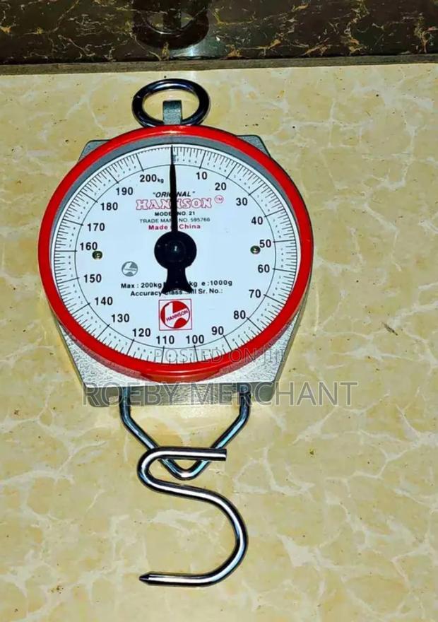 Accurate Analog Hook Weighing Scale/Hanson Scale - main view