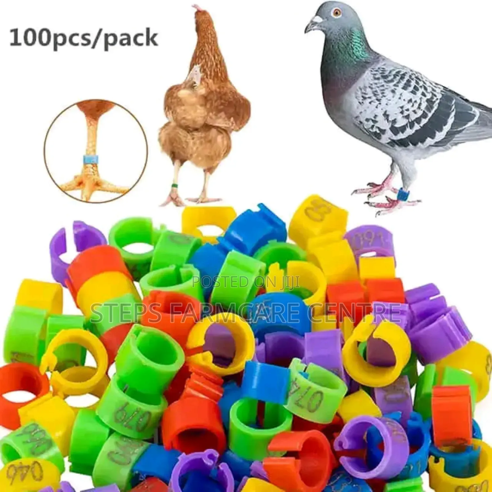 100 Pack Multicoloured Chicken Leg Bands