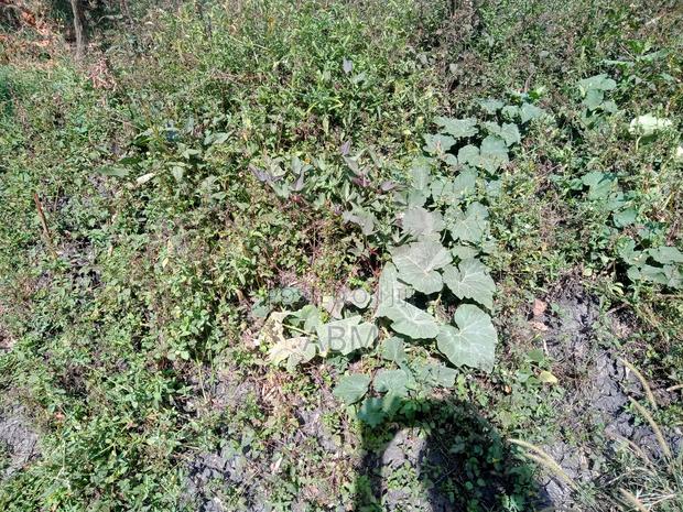 Farmland for Sale Near Nairobi. 10acres