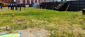 Imara Daima/Villa Franca 1/4th AC Plot for Apartments - thumbnail 2