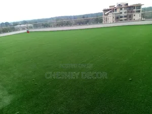 Affordable Artificial Grass Carpets for Playgrounds