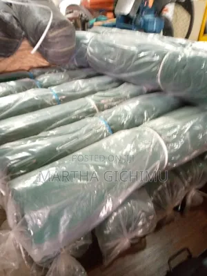 Scaffolding Safety Net
