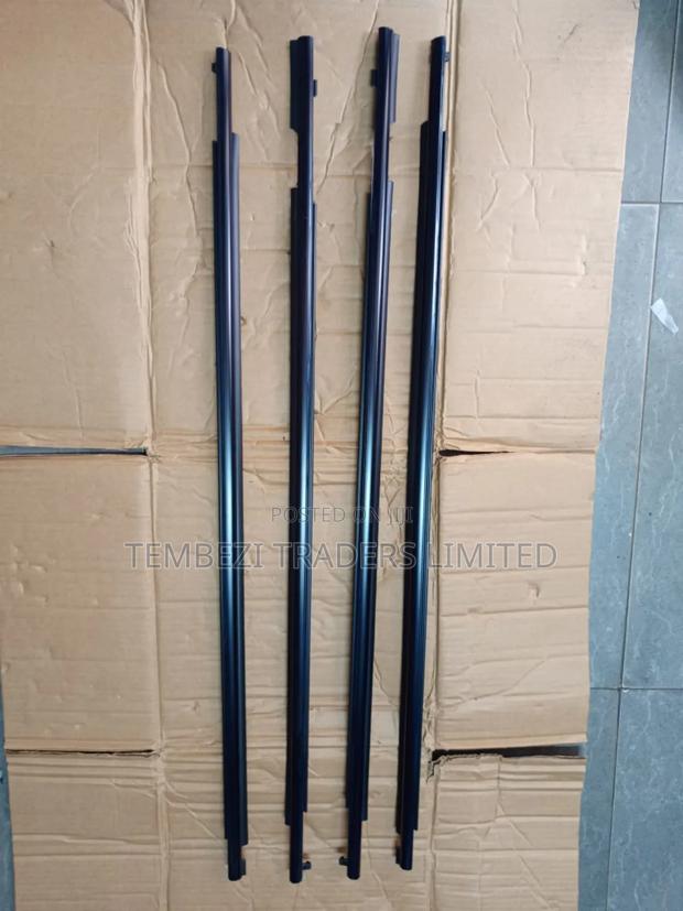 Mouldings Toyota Wish 2010 Model