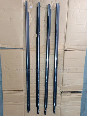 Chrome Mouldings Weather Strip Axio