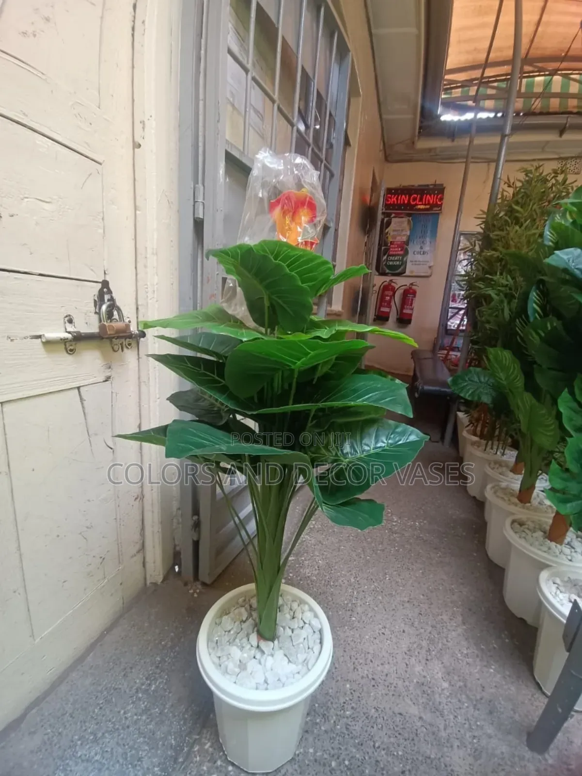 Flowered Plant With Vase KSH 4000